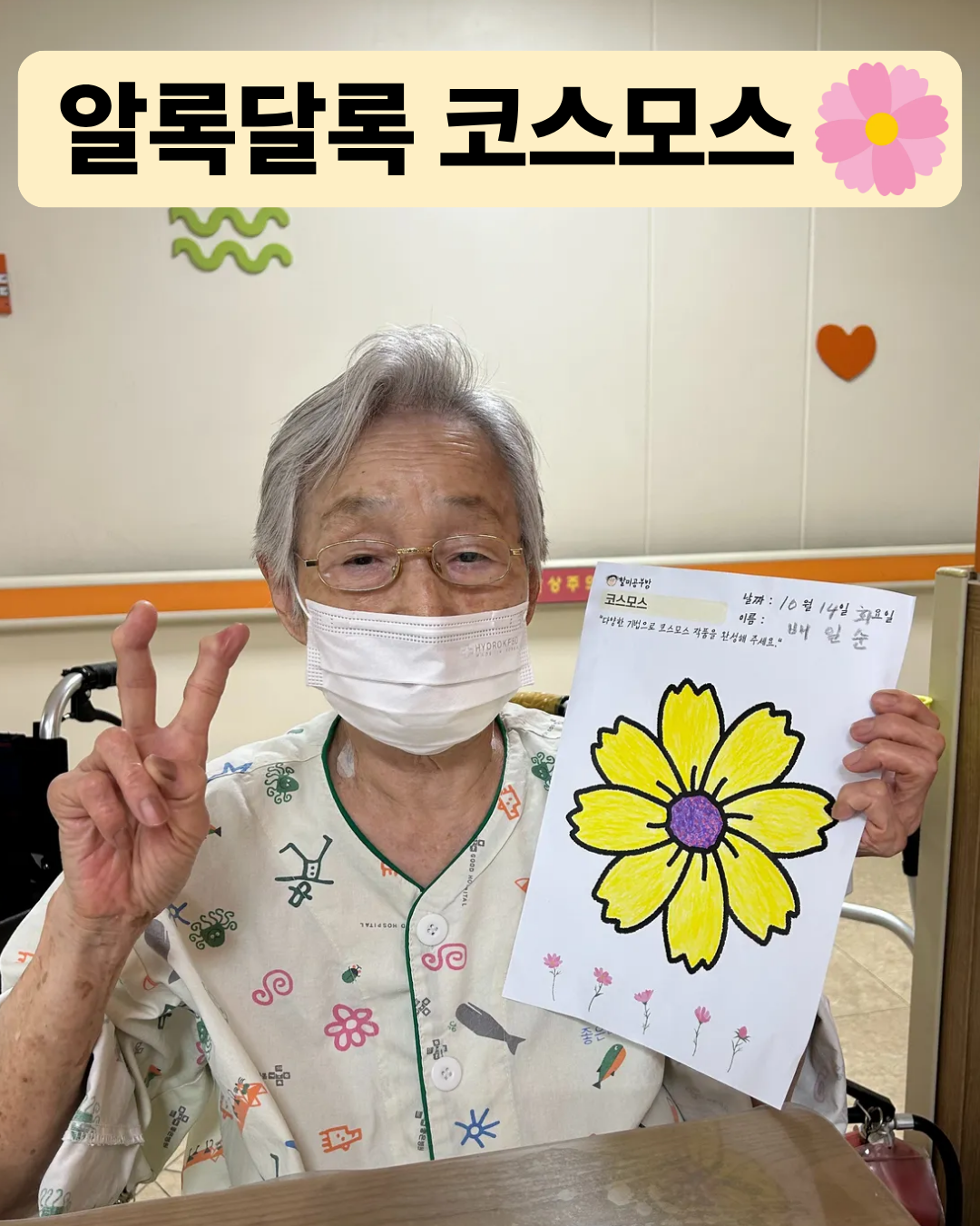 알록달록 코스모스