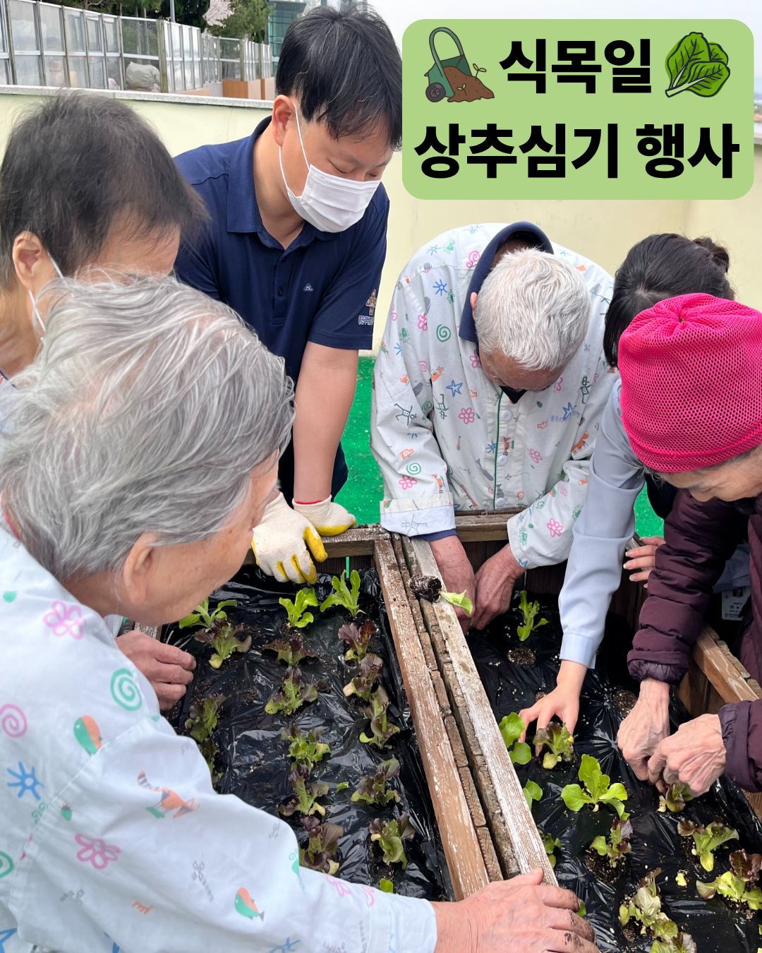 좋은리버뷰 식목일 상추심기 행사